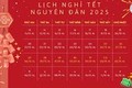 Thủ tướng đồng ý Tết Nguyên đán 2025 nghỉ 9 ngày liên tục