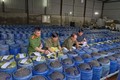 Triệt phá đường dây sản xuất 3.500 tấn giá đỗ chứa chất cấm