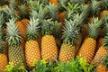 Lợi ích tuyệt vời của quả dứa 
