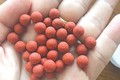 Ngộ độc Metformin, cụ ông 70 tuổi suýt tử vong