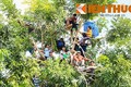 Người dân trèo cây, đội nắng xem xử thảm sát ở Bình Phước