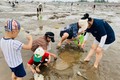 Cào ngao ở bãi Hoàng Châu có gì thú vị mà hút đông khách?