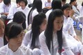 Lượng thí sinh thi vào chuyên Toán Lam Sơn giảm mạnh