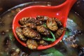 “Kinh dị” các món ăn côn trùng trở thành đặc sản khắp châu Á
