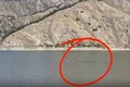 Quái vật dài 15 m được nhìn thấy trên hồ ở Trung Quốc?