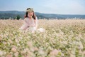 Ngắm hoa tam giác mạch ở nơi nào… đẹp nhất Việt Nam