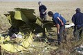 Chuyên gia quốc tế tìm kiếm xong một vùng hiện trường MH17