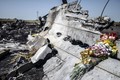 Hạ viện Đức: MH17 bị bắn hạ bởi tên lửa SA-3?