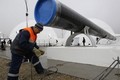 TT Putin: EU cản trở, Nga rút khỏi dự án South Stream