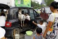 Trung Quốc: Mang dê dạo phố...bán sữa  tươi nguyên chất 