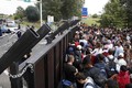 Hungary đóng biên giới, người tị nạn đi qua bãi mìn