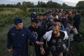 Hungary tái mở cửa khẩu với Serbia cho người tị nạn
