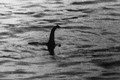 Quái vật hồ Loch Ness đã chết?