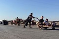 Cảnh người dân Iraq tháo chạy ở Mosul 