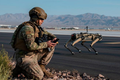 Robot “siêu khuyển” của quân đội Mỹ: Tuần tra theo lộ trình thiết lập