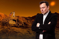 Elon Musk bật mí mối lo của trái đất, cần mang sự sống lên sao Hỏa