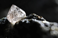 Phát sốt xác sinh vật chết biến thành... kim cương quý nhất hành tinh 