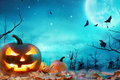 Giải mã lời đồn “trăng xanh ma quái" xuất hiện đêm Halloween 2021