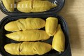 Sầu riêng Musang King rớt giá thê thảm