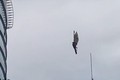Video: Bất ngờ chuyện đại bàng “đóng băng” lơ lửng giữa trời