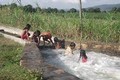 Đuối nước ở trẻ em: Hiểm họa từ ao làng, sông suối