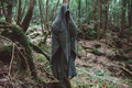 Những câu chuyện "ma ám" về “ngôi rừng bị nguyền rủa” ở Nhật Bản