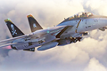  Lý do gì khiến Mỹ “băm nát” tiêm kích F-14 Tomcat?