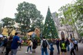 Chiêm ngưỡng những cây thông khổng lồ tại Hà Nội trước Giáng sinh