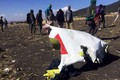 Ethiopia tìm thấy hộp đen máy bay rơi khiến 157 người chết