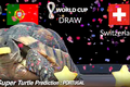 Thần rùa, đại bàng Romeo tiên tri tỉ số World Cup 2022 ngày 6 - 7/12