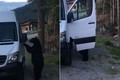 Video: Gấu đen biết mở cửa xe Mercedes như người gây hoang mang