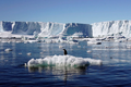 Phát hiện “thế giới khác” ẩn sâu hàng nghìn mét dưới lớp băng Nam Cực