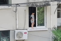 Video: Hãi hùng cảnh cậu bé đứng bấp bênh bên mép cửa sổ chung cư