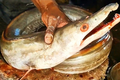 Loài cá lạ Việt Nam sở hữu bộ phận quý gần chục triệu đồng 1kg