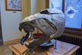 Lộ quái vật 358 triệu tuổi chỉ một miếng cắn mất 23 kg thịt