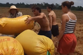 Du khách nước ngoài hào hứng xuống ruộng thu hoạch lúa ở miền Tây