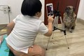 Video: Cậu bé loay hoay chụp ảnh cho chó cưng “gây sốt“