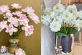 5 loại hoa nghe tên đã thấy nhiều phúc lộc