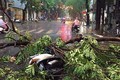 Ma trận "bẫy tử thần" trong mùa mưa bão ở Hà Nội