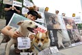 Tòa án Hàn Quốc cấm giết chó để ăn thịt