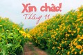 Tử vi tháng 11/2018 chuẩn nhất của 12 con giáp