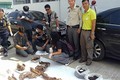 Băng nhóm chuyên săn hổ khắp Đông Nam Á bán về Việt Nam