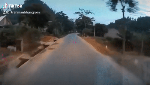 Video: Tài xế phanh cháy lốp cứu sống bé trai bất ngờ chạy sang đường