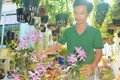 Chàng trai trồng 2.000 giò lan, có 20 loài lan giả hạc quý hiếm