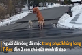 Video:'Khủng long T-Rex' dẫn chó đi dạo lúc phong tỏa