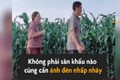 Video: Cười không dứt với điệu nhảy chăn bò của cặp vợ chồng nông dân