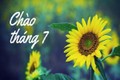 Con giáp được Thần tài độ mệnh, 6 tháng cuối năm rực rỡ