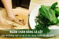 Lá lốt ngâm chân đau nhức đến mấy chỉ cần bôi vài lần là đỡ