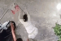Video: Cả xóm trọ phối hợp bắt trộm gay cấn như trong phim
