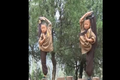 Video : Quá trình khổ luyện thành cao thủ ở chùa Thiếu Lâm